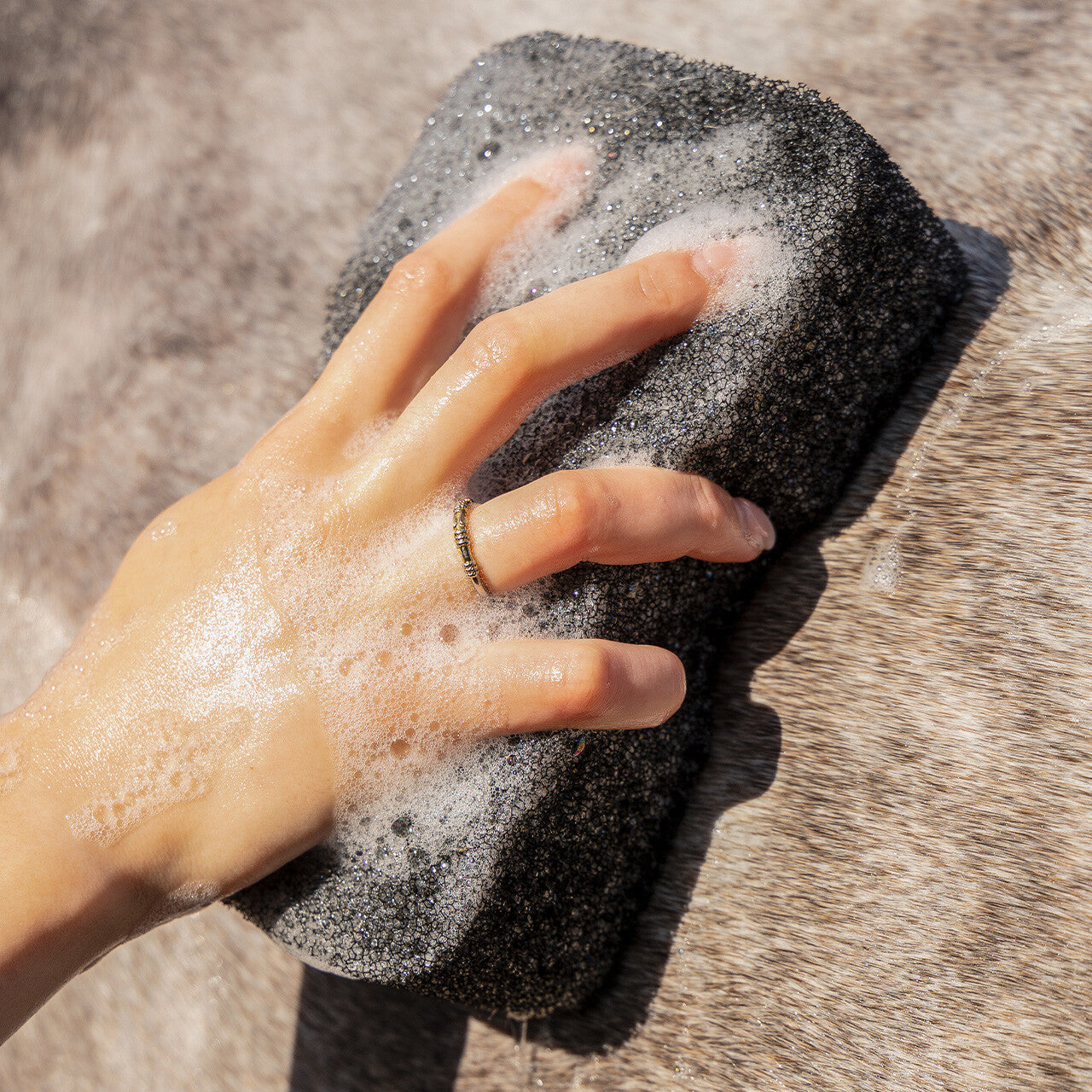 Equi super shiner