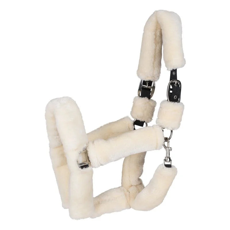Licol mouton