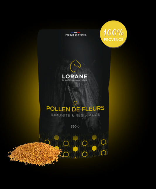 Pollen de fleurs