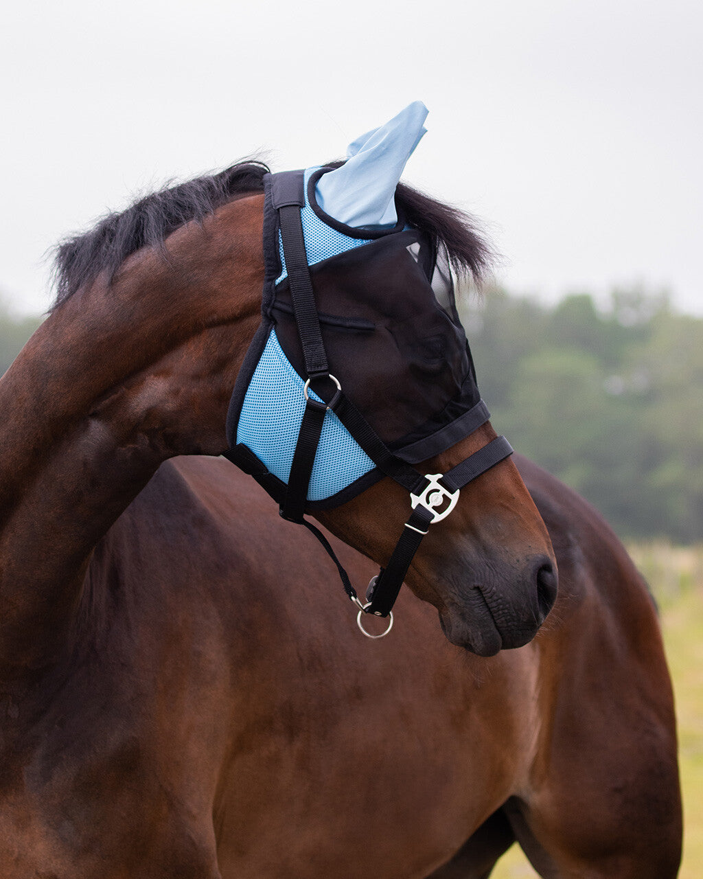 Bonnet anti mouche avec clapet de nez détachable