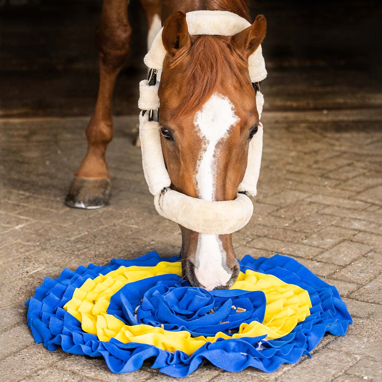 Tapis de fouille