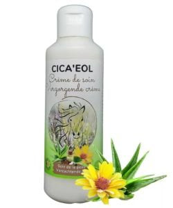 Cica’eol